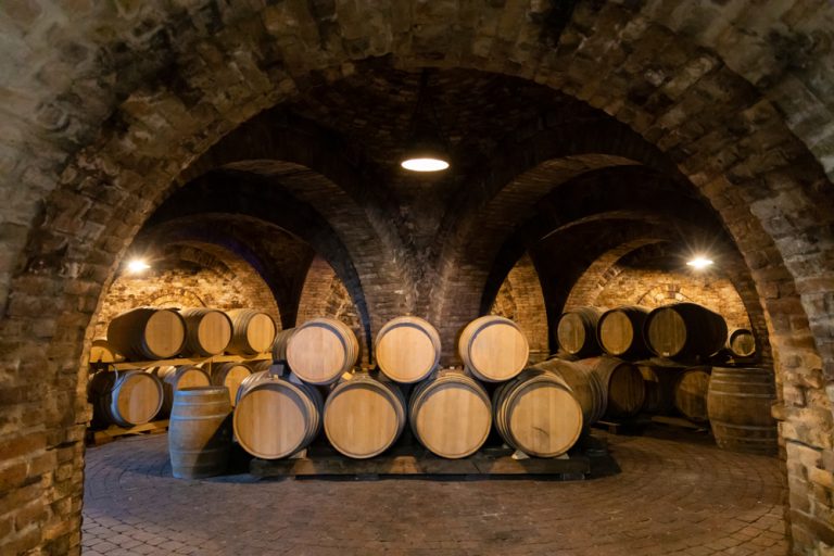 A wine cellar filled with wooden barrels of wine - Wine Packaging