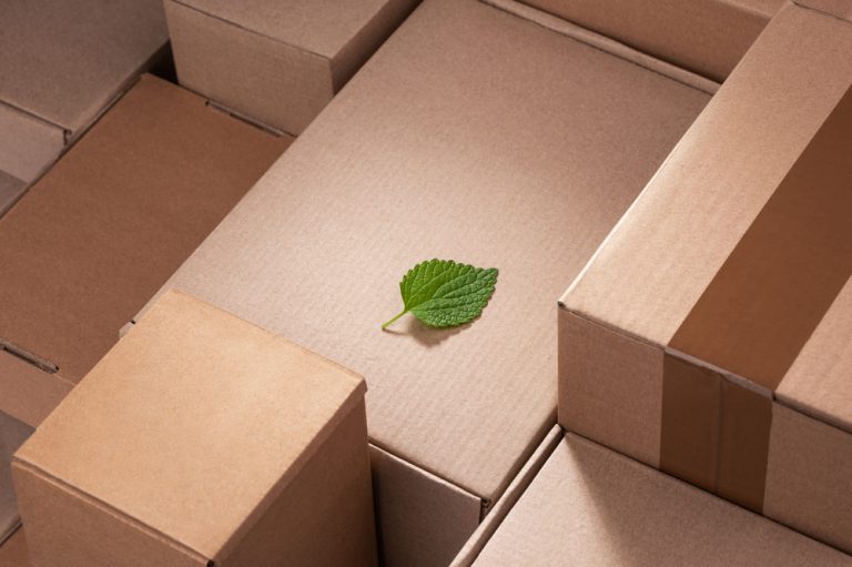 A single green plant leaf sits among a sea of cardboard boxes - environmental footprint